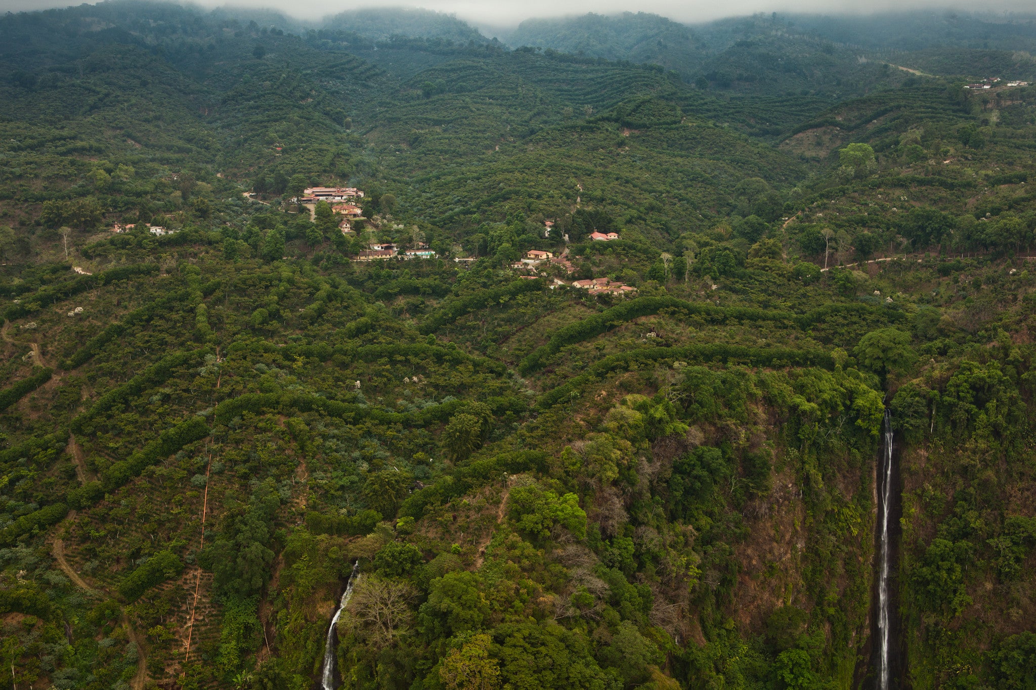 Finca Dos Marias - Bourbon Rojo - San Marcos, Guatemala
